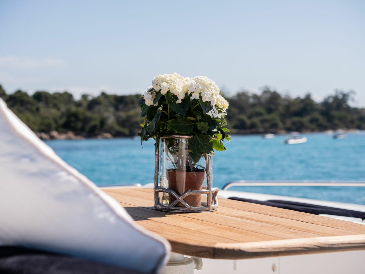 Yacht-charter-PALUMBA-SUNSEEKER-PREDATOR-84_119